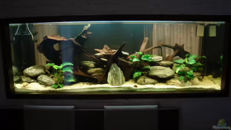 Von der Küche von Markus Josef (3)