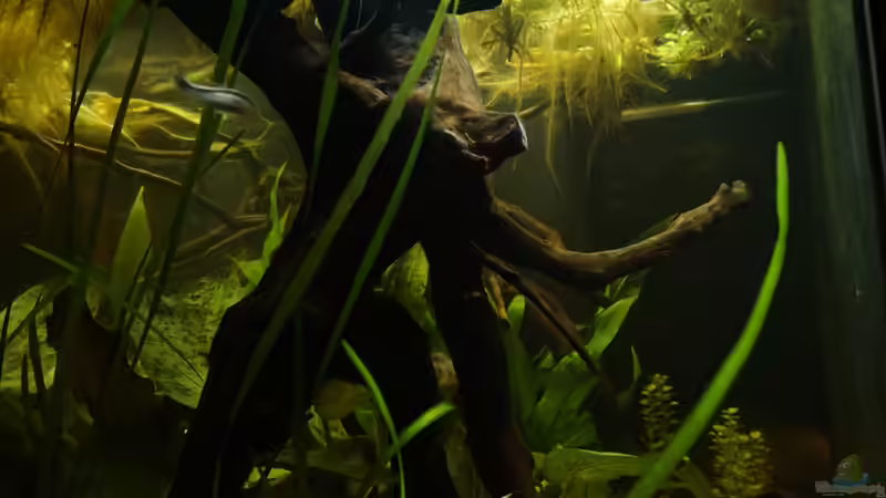 Von der linken Seite von Rein (2)