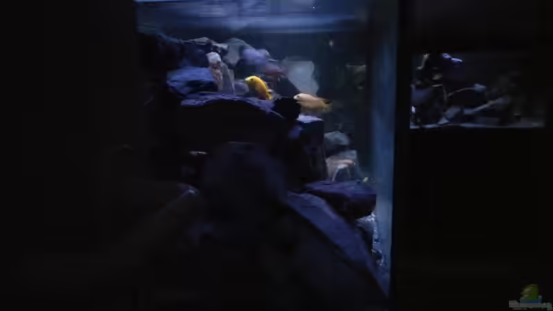 Von der linken seitenscheibe aus gesehen  von Wasserfest ;-) (8)