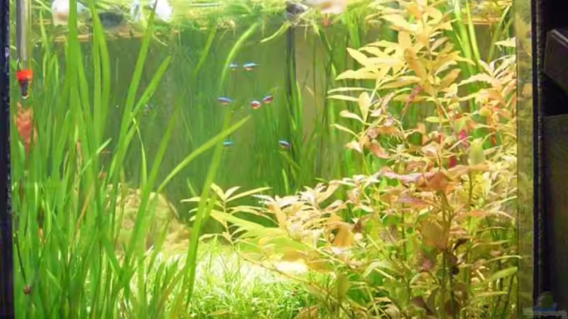 von der Seite  von Björn Seligmann (2)