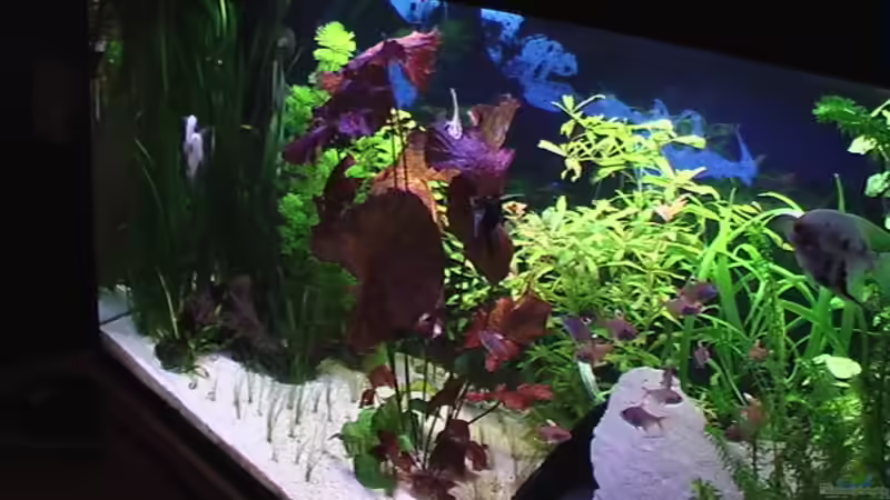 von der Seite betrachtet von Marcus Heiser (5)