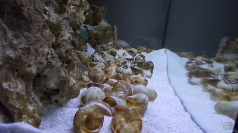 von der Seite mit LED von matze81 (12)