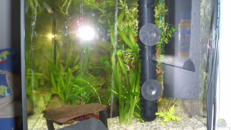 von der seite von Andre Schumacher (3)