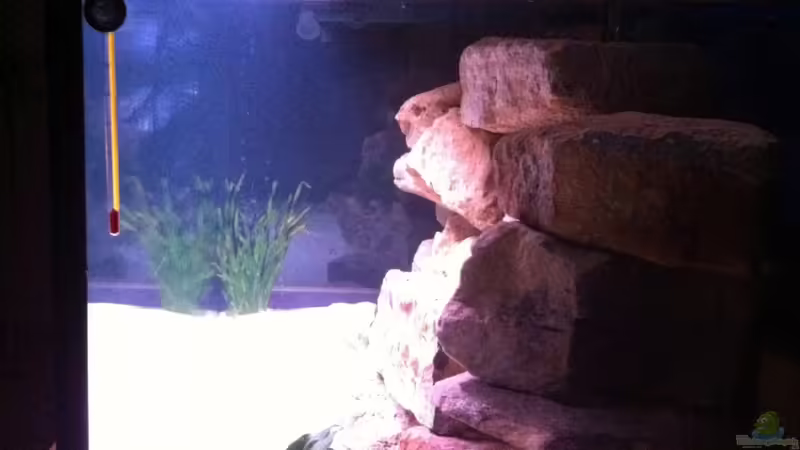 von der Seite von aquamika (6)