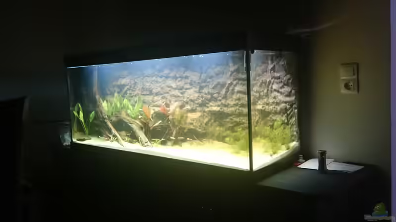 Von der Seite von DennisTheMenis (9)