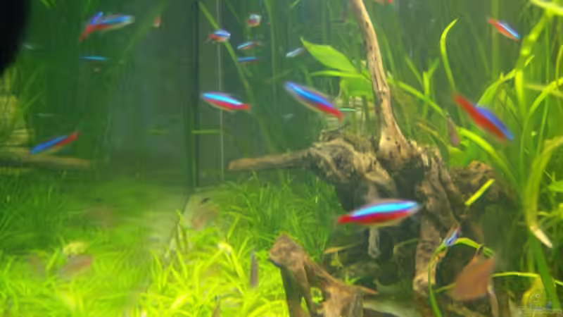 von der Seite von Frank Wollenburg (24)