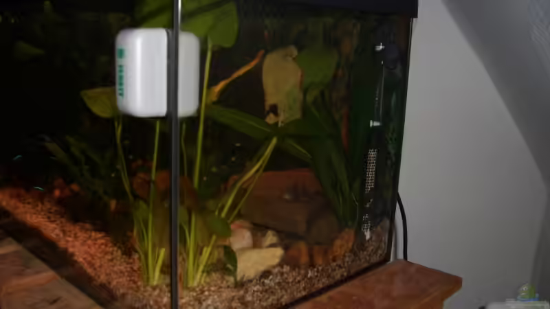 von der Seite von Hans Holten (2)