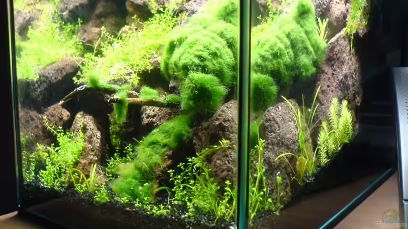 von der seite von Jens Hug (3)