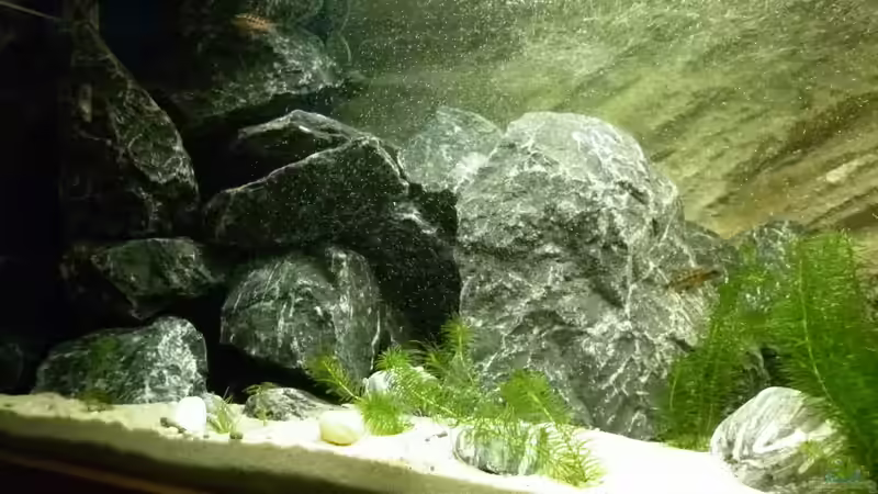 von der Seite von Julien Preuß (6)