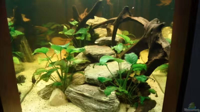 Von der Seite von Markus Josef (5)