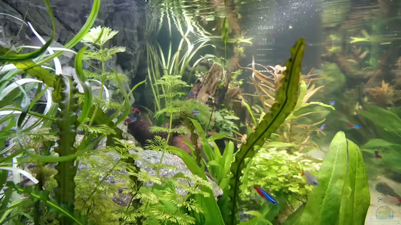 von der Seite von Woidma (30)