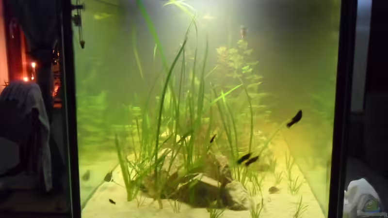 von der stirnseite von kleines becken (5)