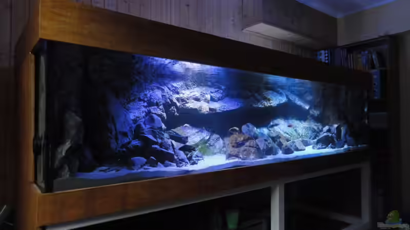 von halb links von Strücher Jung (3)