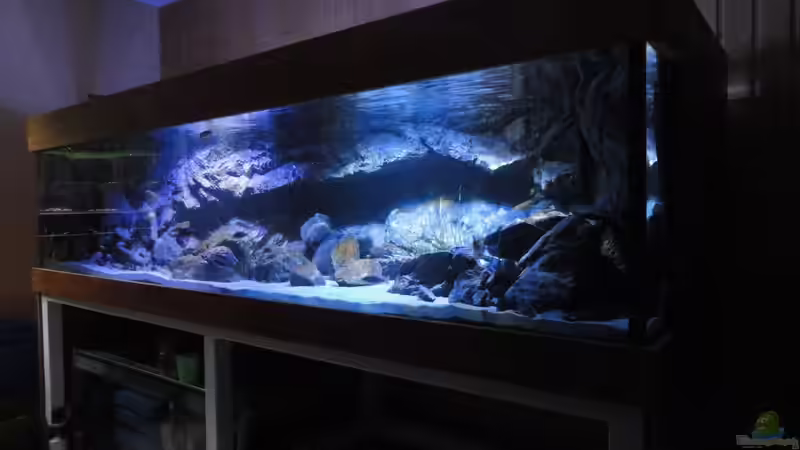 von halb rechts von Strücher Jung (2)