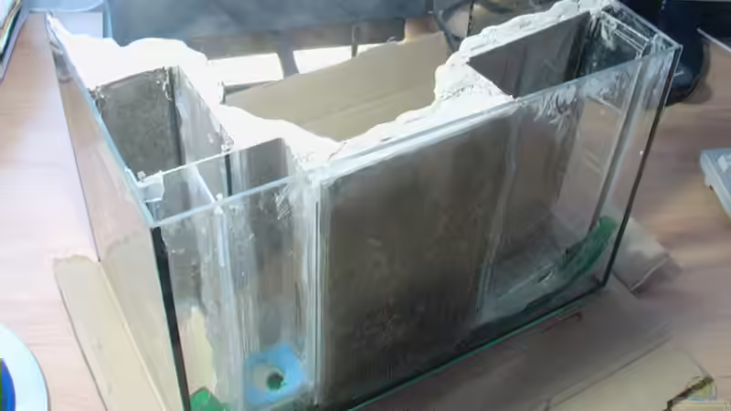 von hinten... von Tilo Schmiedl (20)