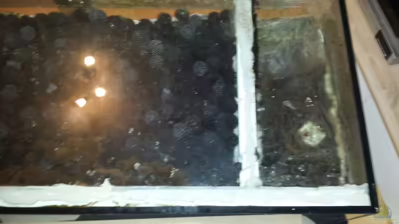 Von hinten mit gefüllter Kammer ca.100l Filterbälle von Eisbaer (5)