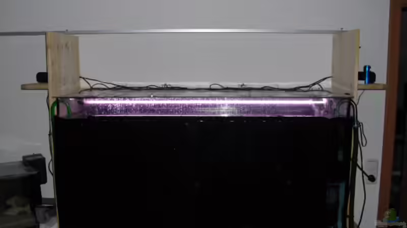 Von Hinten von FischfanAQ (3)