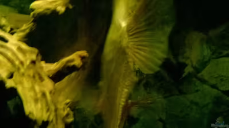 von hinten von Lars Ascher (62)