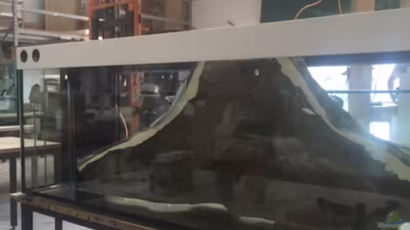 von Hinten von Wabi (4)