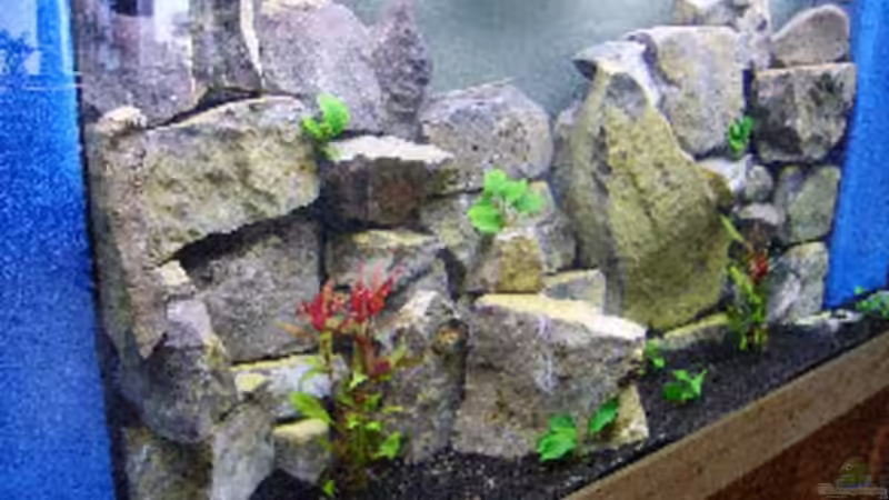 von links :-) von Carsten Bobe (2)