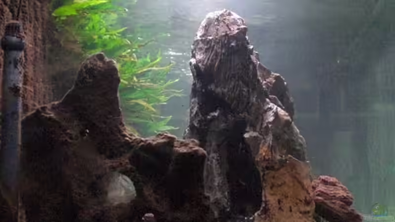 von links, noch ohne die 3D-Rückwand in der Mitte. Sieht sonst noch genauso aus. von Schdäff (2)