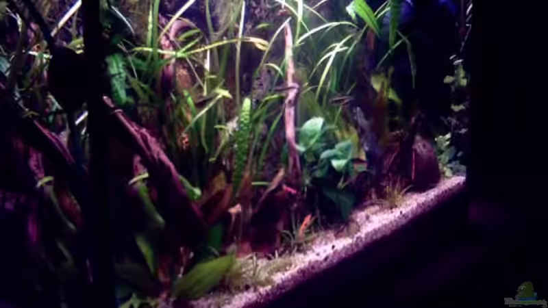 Von links 30.10.07 von Thomas Schmidt (3)