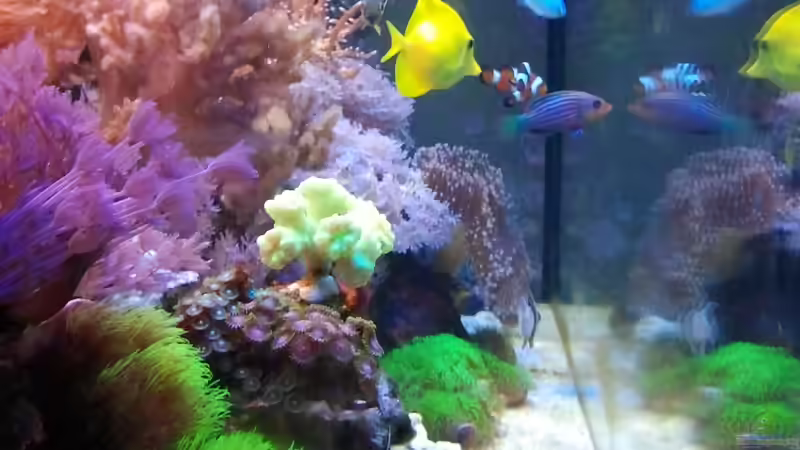 von links betrachtet! von Johannes 88 (10)