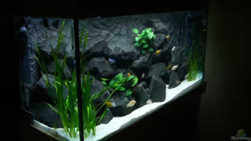 von links geschaut.. von J.Co. (5)