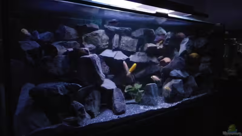 Von links gesehen mit dem Schattenbereich und dem etwas helleren Bereich in der Mitte von Wasserfest ;-) (7)