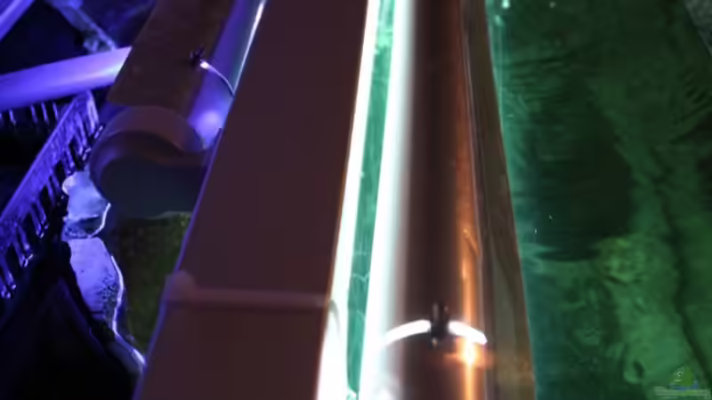 von links gesehen von Michael Reiz (46)