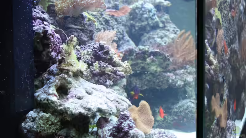 Von links ins Becken gesehen von Thorsten John (7)