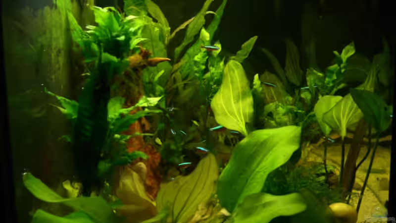 von links von Alexander Eckel (2)