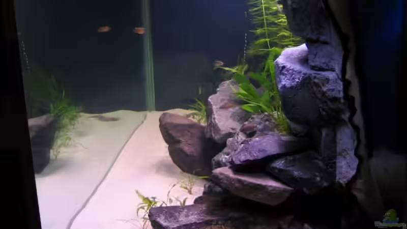 von links von Artur Schumacher (4)