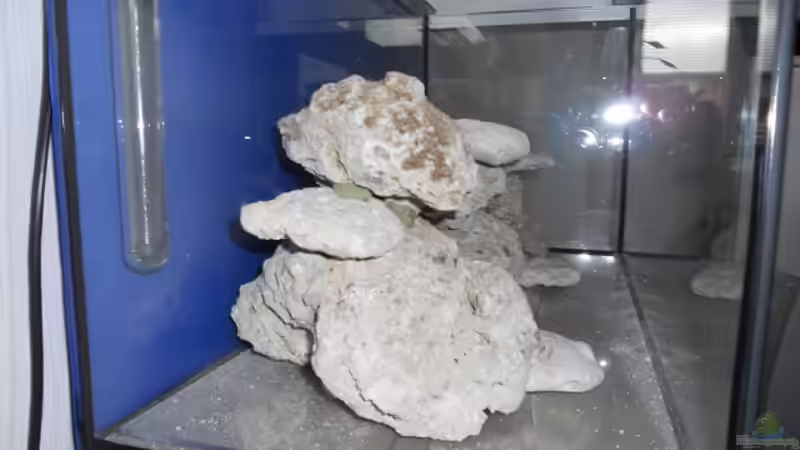 von links von Dennis Rienecker (5)