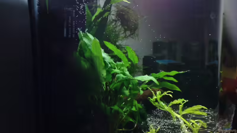 Von Links von Die Hängenden Gärten (3)