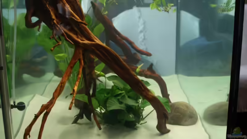 von Links von Freddy (4)