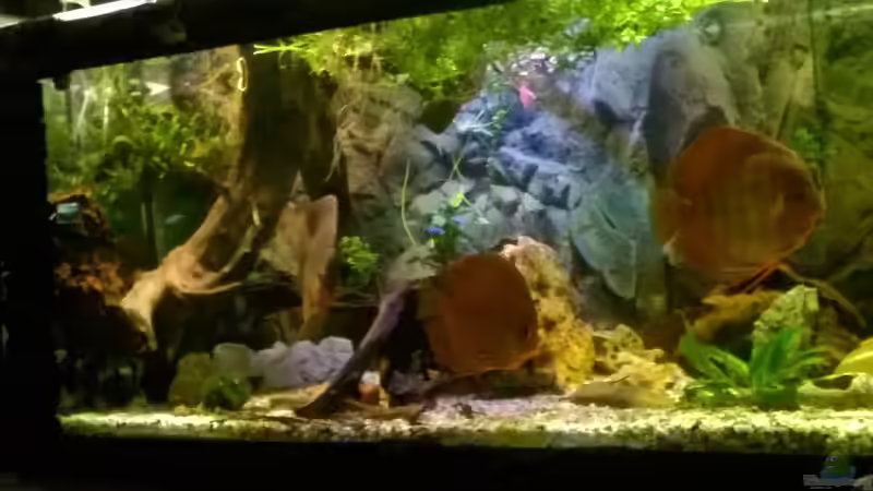 von Links von Lars Ascher (20)