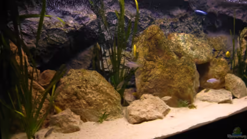 von links von Malawigo (4)