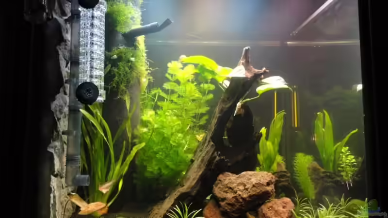 von links von Marc SL (3)