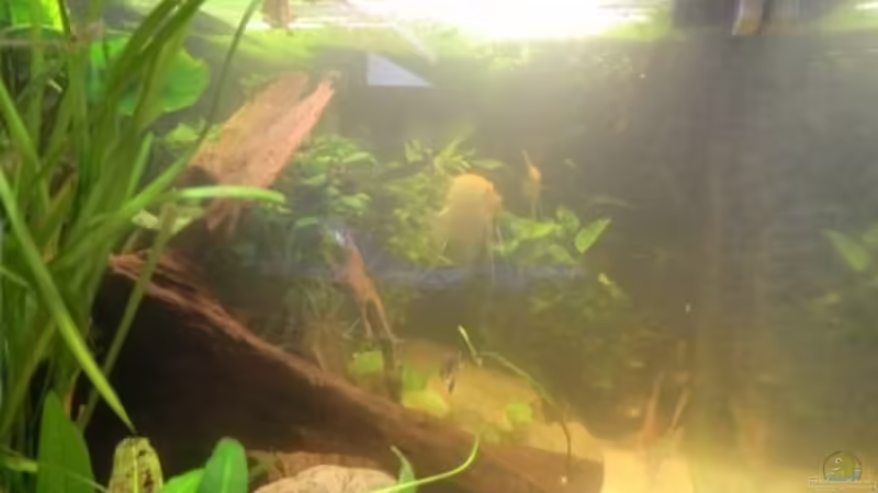 Von links von Morten (2)