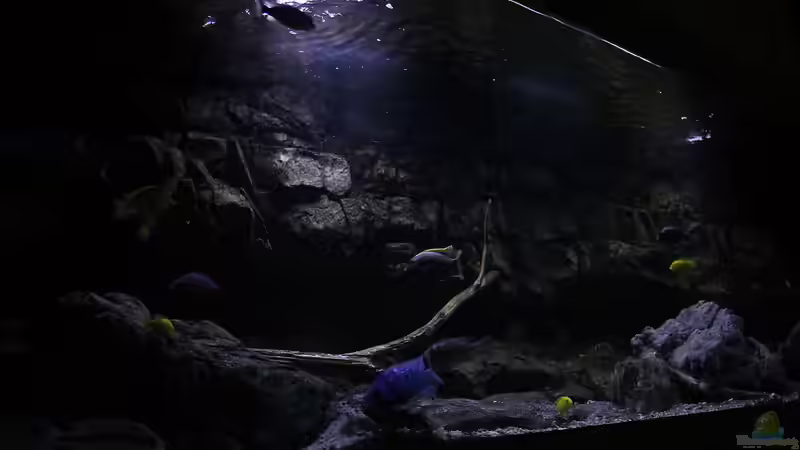 von links von Sebastian O. (2)