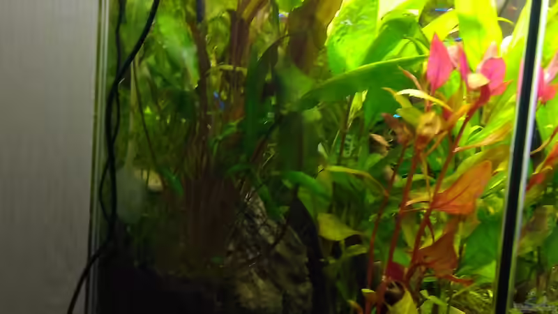 von links von Shiro13 (2)