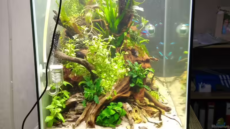 von links von Shiro13 (5)