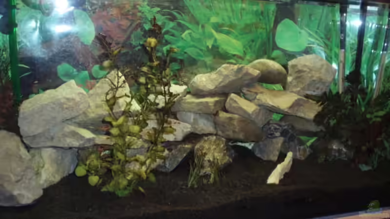 Von Links Vorne von Ocilares (8)