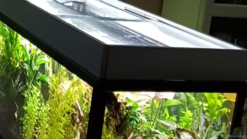 von oben, selbst gebaute Abdeckung von Sunnyboy_72 (30)