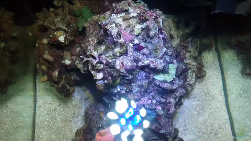 von oben, sieht man schön die Leds von Dirk Schäfer (3)