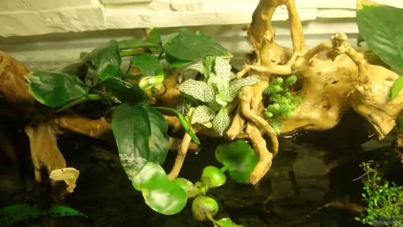 von oben  von Erich Beer (5)