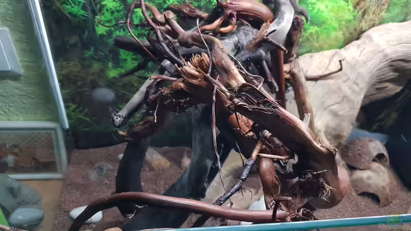 Von oben  von Kevin Engelsberger (26)