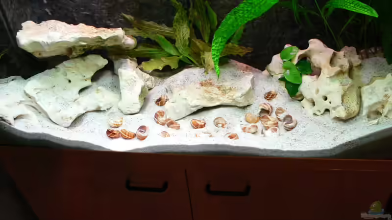 Von Oben 6.10.2012 von DominikZ (10)