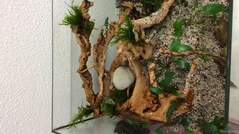 Von oben (beim einrichten) von RobiTobi (4)